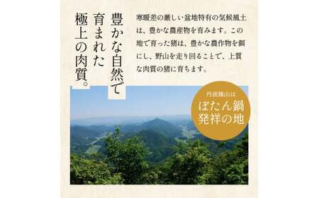 猪肉 (しゃぶしゃぶ セット 400g 2～4人前) 猪肉TS-D012-400g