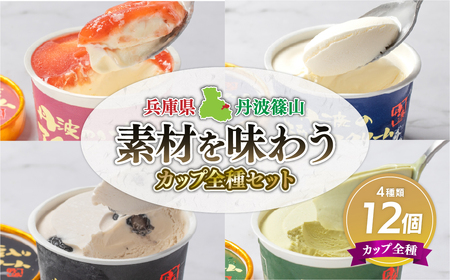 アイスクリーム 丹波篠山素材  12個(4種類×3個)  アイスクリーム KMH007 4,100円