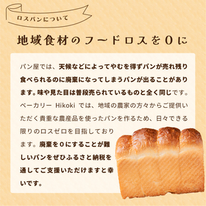〈訳あり〉 大容量 ロスパン パン詰め合わせ HIK003