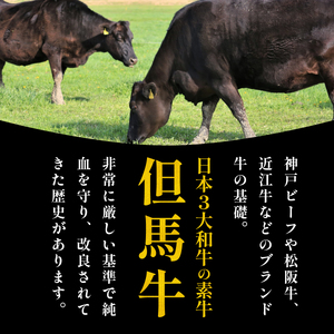 〈スピード出荷〉但馬牛 シャトーブリアン 《150g×2個 300g 》 シャトーブリアン  MSK007