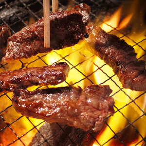 【12/22迄年内発送・選べる配送月】タレ漬ハラミ 500g ハラミ MSK014