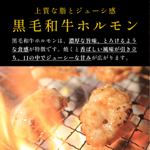 【12/22迄年内発送・選べる配送月】黒毛和牛ホルモン(しょうゆ 小分け 500g)ホルモン MSK023