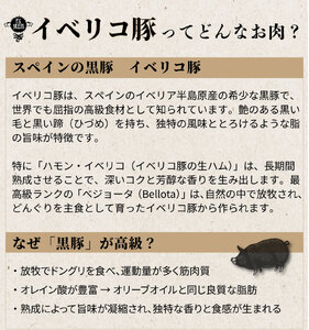 【12/22迄年内発送・選べる配送月】イベリコ豚入りソーセージ 3kg(500g x 6p) 小分けソーセージ  [AU102]