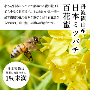 はちみつ 〈丹波篠山産 日本蜜蜂 百花蜜〉 180g×1瓶 蜂蜜  [SYC01]