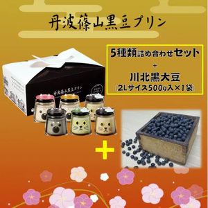 丹波篠山黒豆プリンと川北黒大豆のセット川北黒大豆 兵庫県 丹波篠山市産 黒豆 お菓子 スイーツ デザート [BT41]