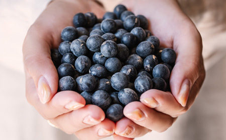 丹波篠山産 黒大豆 【令和7年産 新物 年内発送】 丹波黒 200g × 4袋（2Lサイズ・真空パック）黒豆 [Y085]