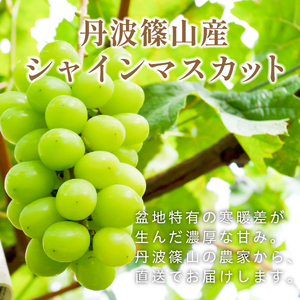 【早期予約限定】シャインマスカット 丹波篠山産 大粒だけ 〈1房・750g以上〉 シャインマスカット[PAK01]