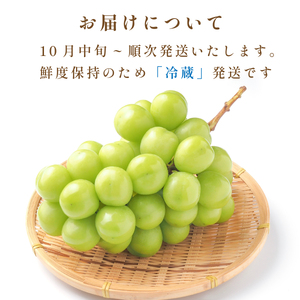 【早期予約限定】シャインマスカット 丹波篠山産 大粒だけ 〈1房・750g以上〉 シャインマスカット[PAK01]