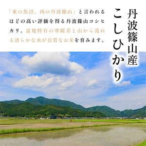令和8年産【6回定期便】コシヒカリ 5kg 精米 無農薬 コシヒカリ