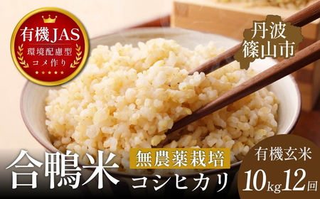 令和8年産【12回定期便】コシヒカリ 10kg 玄米 無農薬 コシヒカリ