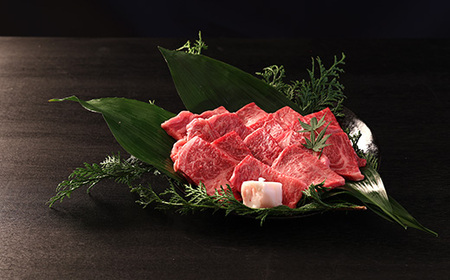 【極上 丹波篠山牛】 焼肉セット （ 500g 2~3人前 ） 焼肉 AB21
