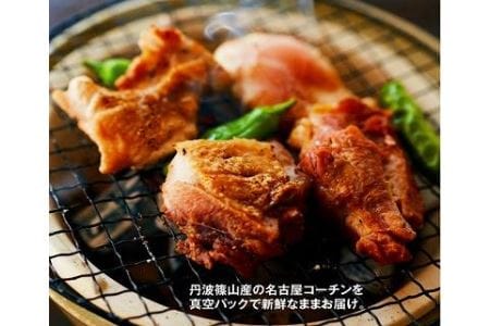 名古屋コーチン丹波ささやま地鶏イチオシもも肉500g（約1枚半） AH06　