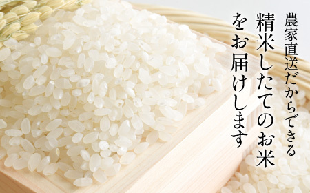 令和6年 新米！ 丹波たぶち農場の特別栽培米こしひかり5㎏ AQ24-2409