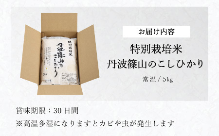 令和6年 新米！ 丹波たぶち農場の特別栽培米こしひかり5㎏ AQ24-2409