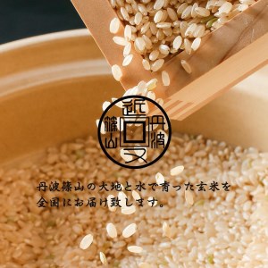 【先行予約】※令和6年産新米※【有機栽培米】 丹波篠山産コシヒカリ  玄米  ２㎏ 5袋 BA15