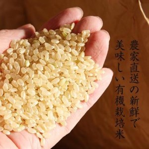 【先行予約】※令和6年産新米※【有機栽培米】 丹波篠山産コシヒカリ  玄米  ２㎏ 5袋 BA15