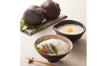 【丹波篠山産】 生とろろ・味とろろ詰め合わせ (冷凍 生とろろ6袋 味とろろ10袋) 小分けとろろ E009