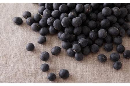 【丹波黒大豆ぎっしり！】黒豆パン   （5個入） 黒豆パン  KM03