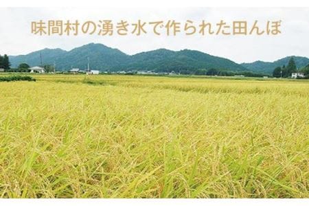 【特A 】コシヒカリ 湧水米 5kg こしひかり ［Y029-2602］