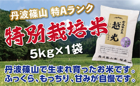 【特A スピード出荷】減農薬 特別栽培米 コシヒカリ 越光 5kg こしひかり [Y030-2602]