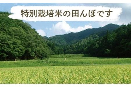 丹波篠山産　特別栽培米　越光（農薬不使用）（5ｋｇ×1袋） Y077