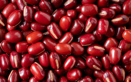 〈大粒 2Lサイズ〉丹波篠山産 大納言小豆 250ｇ×2袋（鮮度長持ち 真空パック）あずき Y087