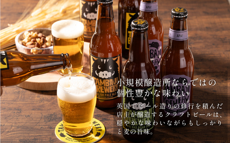 クラフトビール 飲み比べ 12本 セット 丹波路ブルワリー 詰め合わせ 地ビール [BN004] 
