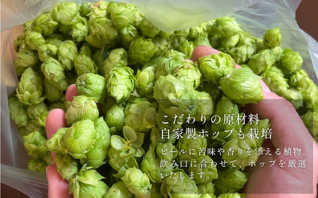 クラフトビール 飲み比べ 12本 セット 丹波路ブルワリー 詰め合わせ 地ビール [BN004] 