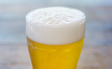 クラフトビール 飲み比べ 12本 セット 丹波路ブルワリー 詰め合わせ 地ビール [BN004] 