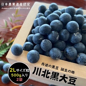 川北黒大豆　2Lサイズ粒 500g×2袋【2023年　新豆】 BT07