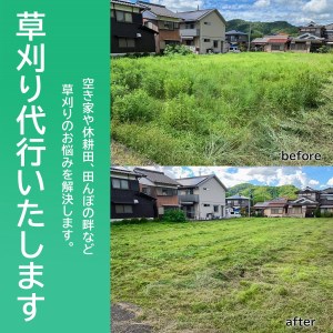 草刈り代行作業（151平方メートル～200平方メートル） CR04