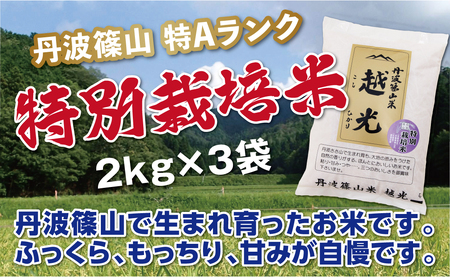 【令和7年産】 コシヒカリ　丹波篠山産　特Aランク　特別栽培米　越光（２ｋｇ×３袋） 白米 100％単一原料米 産地直送米 贈答 おいしいコシヒカリ お米 精米 コシヒカリ ブランドコシヒカリ おこめ 健康 ギフト 内祝い 贈り物 送料無料 おすすめコシヒカリ 人気 口コミ こしひかり　コメ [Y100]