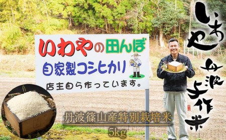 【令和7年産】丹波与作が作るいわやのお米 特別栽培米 5kg　丹波篠山産 こしひかり L003