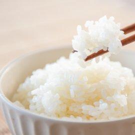 【令和7年産】丹波篠山産つきあかり白米5kg [BE16]