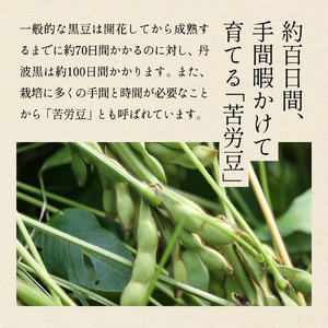 【先行予約】秋の味覚「丹波黒枝豆」  濃厚なコク・500g×2袋　晩摘み 【2026年10月22日頃～11月上旬頃発送予定】 [CU11]