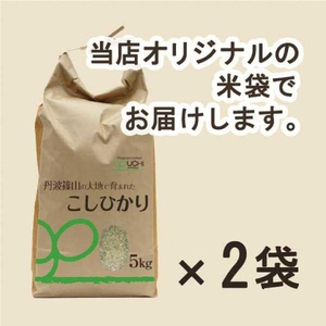 令和6年産 新米！　丹波篠山の大地で育まれたコシヒカリ　玄米10kg DP02