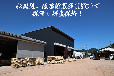 令和6年産 新米！　丹波篠山の大地で育まれたコシヒカリ　玄米10kg DP02