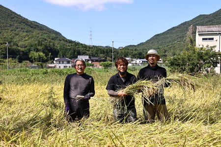 令和6年産 新米！　丹波篠山の大地で育まれたコシヒカリ　玄米10kg DP02