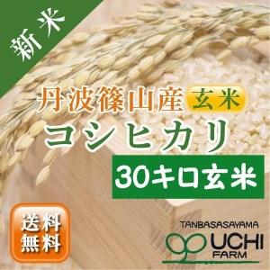 丹波篠山の大地で育まれたコシヒカリ 玄米30kg DP04 | 兵庫県丹波篠山