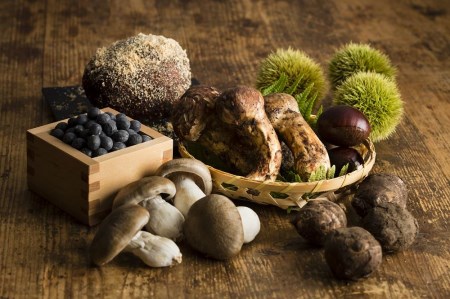 篠山城下町ホテルNIPPONIA 1泊2日ペア宿泊券（朝食付き） ニッポニア DR03