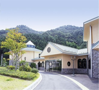 田舎バイキング食事ペアご招待券 お食事券 チケット 丹波篠山 兵庫県 ビュッフェ バイキング G007