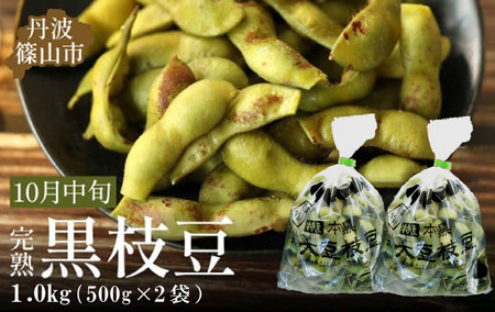 【2025年10月中旬発送】令和7年産 丹波ふるさと村の丹波黒枝豆500g×2(枝なし) Q013 プレミアム枝豆 日本三大枝豆　丹波篠山黒枝豆 大粒 丹波 黒豆 丹波黒 黒大豆 濃厚 美味しい 旬 ご当地 お取り寄せ グルメ