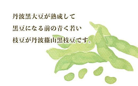 【2025年10月中旬発送】令和7年産 丹波ふるさと村の丹波黒枝豆500g×2(枝なし) Q013 プレミアム枝豆 日本三大枝豆　丹波篠山黒枝豆 大粒 丹波 黒豆 丹波黒 黒大豆 濃厚 美味しい 旬 ご当地 お取り寄せ グルメ