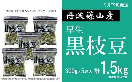 【2025年9月下旬発送】令和7年産 早生丹波黒枝豆300g×5（枝なし） Q020 プレミアム枝豆 日本三大枝豆　丹波篠山黒枝豆 大粒 丹波 黒豆 丹波黒 黒大豆 濃厚 美味しい 旬 ご当地 お取り寄せ グルメ