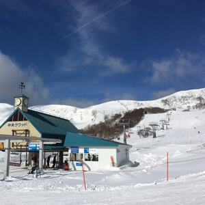 ハチ高原スキー場【全日】リフト1日利用券　こども1名・1枚(ハチ北高原でもご利用可能!)【1445609】