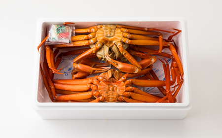 兵庫県香住産 釜茹で香住ガニ(紅ズワイガニ)3～4匹入(約2kg)【9月中旬以降発送】【配送不可地域：離島・北海道・沖縄県・東北・九州】【1399219】