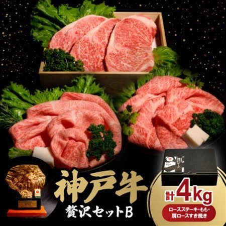 神戸牛贅沢パーティーセットB　ステーキ・すき焼き　合計4.0Kg　牛脂付き【配送不可地域：離島】【1529492】