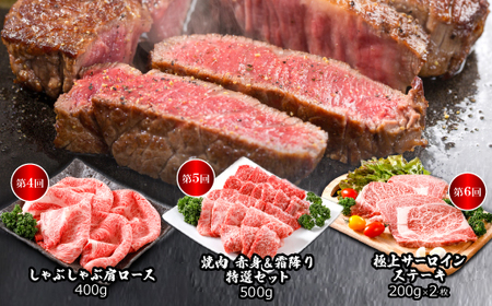 【毎月定期便】平山牛舗の厳選「但馬牛」おたのしみ(ギフトに嬉しい化粧箱仕様)全6回【配送不可地域:離島】【4056784】