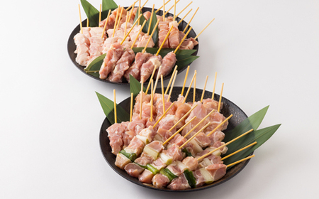 焼き鳥セット おまかせ5種盛り合わせ(もも・ももねぎ・生皮・ハラミなど)50本【配送不可地域：離島】【1615123】