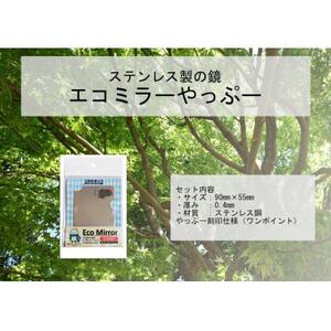 割れない鏡　エコミラー　やっぷ～【1627443】